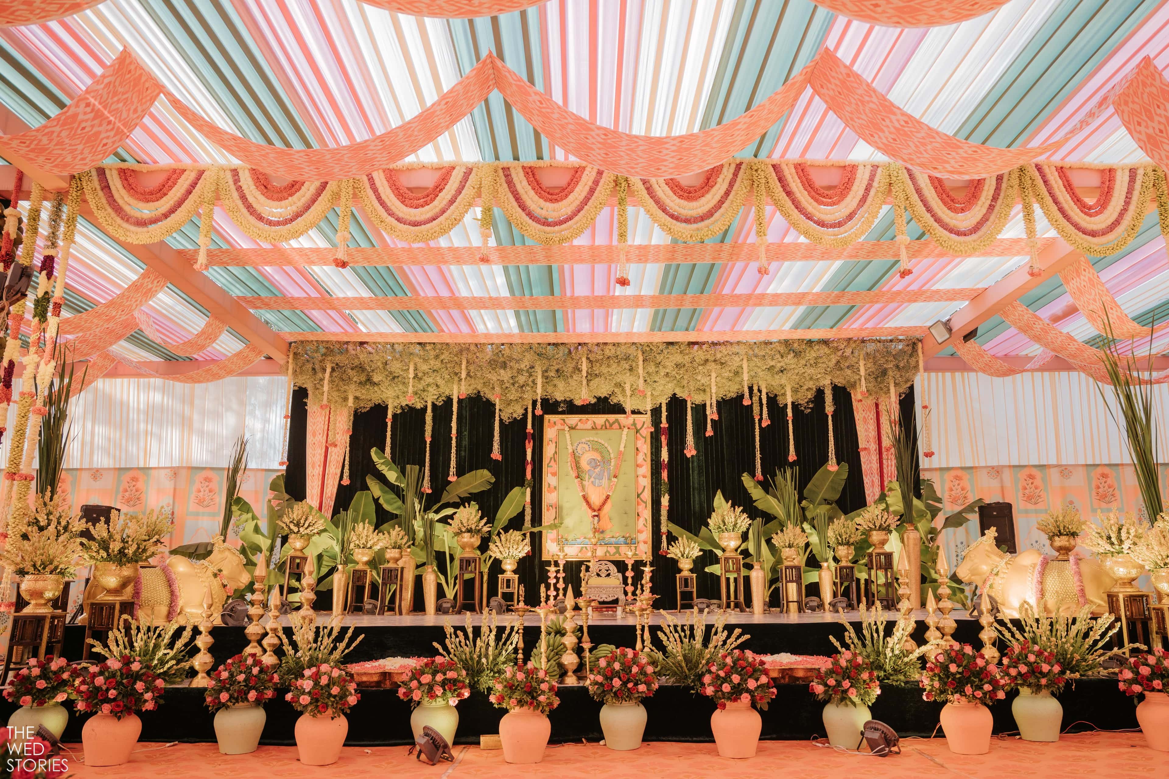 Kusum Farm — photograph 43